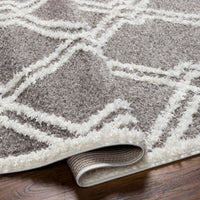 Surya Rodos Rdo-2313 Brown Area Rug