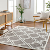 Surya Rodos Rdo-2313 Brown Area Rug