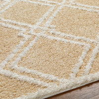 Surya Rodos Rdo-2314 Orange Area Rug