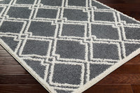 Surya Rodos Rdo-2315 Black Area Rug