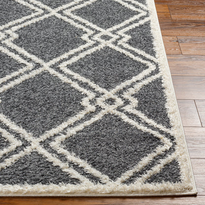 Surya Rodos Rdo-2315 Black Area Rug