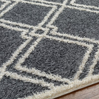 Surya Rodos Rdo-2315 Black Area Rug