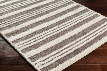 Surya Rodos Rdo-2317 Grey Area Rug