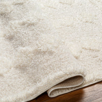 Surya Rodos Rdo-2319 Beige Area Rug