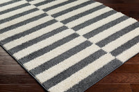 Surya Rodos Rdo-2325 Black Area Rug