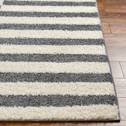 Surya Rodos Rdo-2325 Black Area Rug