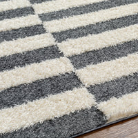 Surya Rodos Rdo-2325 Black Area Rug