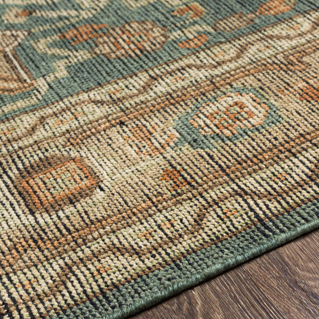 Surya Reign Reg-2304 Dark Green, Khaki, Tan, Dark Brown Rugs.