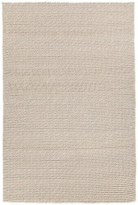 Chandra Renea Ren40101 Silver Area Rug