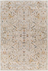 Surya Reina Ren-2302 Light Gray, Denim, Cream, Tan Area Rug