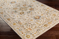 Surya Reina Ren-2303 Light Gray, Medium Gray, Cream, Light Brown Area Rug