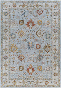 Surya Reina Ren-2306 Light Gray, Cream, Denim, Rust Area Rug