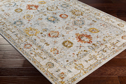 Surya Reina Ren-2307 Light Gray, Cream, Denim, Rust Area Rug