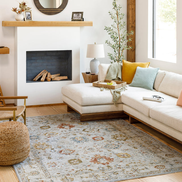 Surya Reina Ren-2307 Light Gray, Cream, Denim, Rust Rugs.