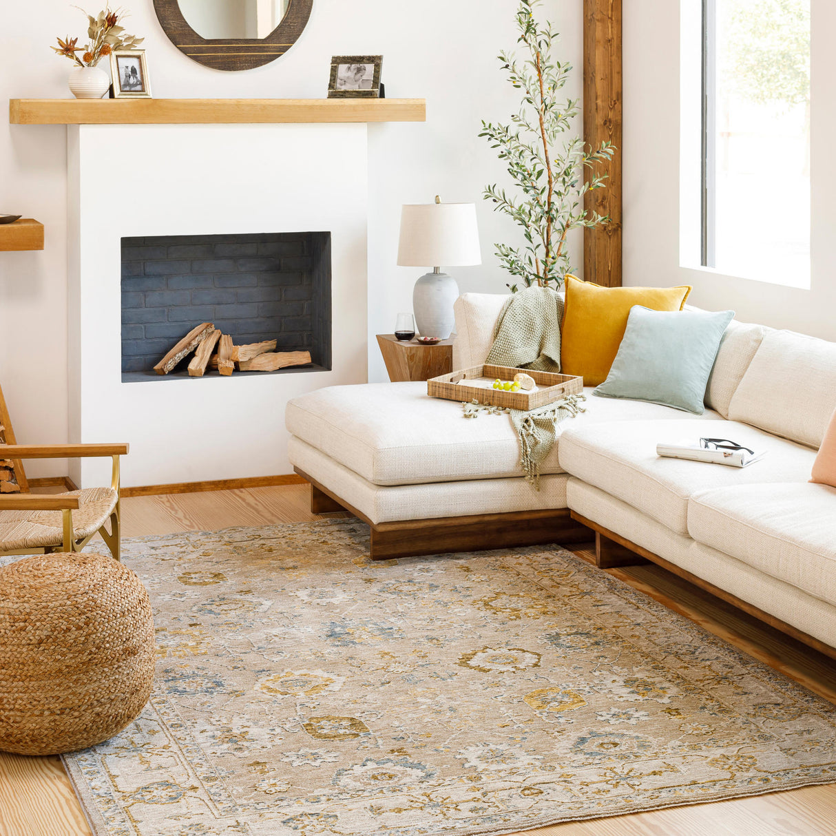 Surya Reina Ren-2308 Tan, Light Brown, Light Gray, Cream Rugs.