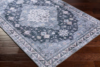 Surya Regen Rge-2307 Gray Area Rug