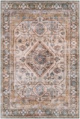 Surya Regen Rge-2310 Orange Rugs.