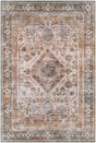 Surya Regen Rge-2310 Orange Rugs.