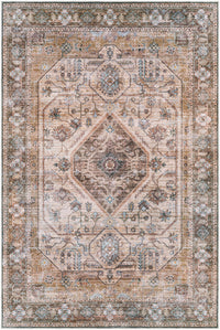 Surya Regen Rge-2310 Orange Area Rug