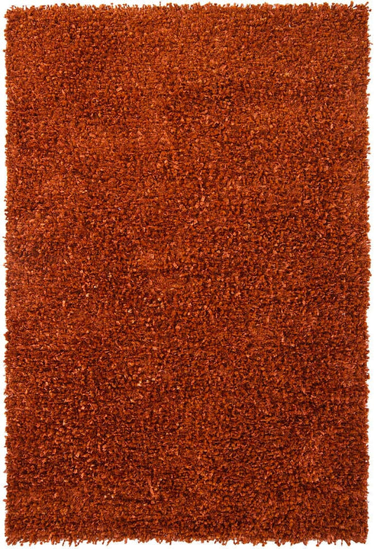 Chandra Riza riz19501 Brown Shag Area Rug