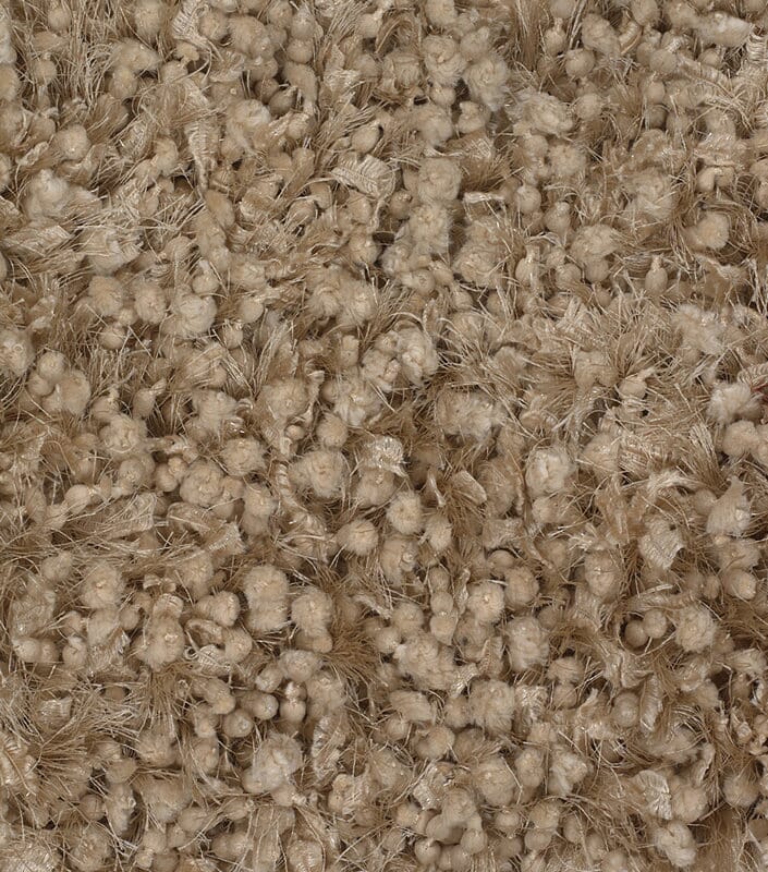 Chandra Riza Riz19502 Tan Shag Area Rug