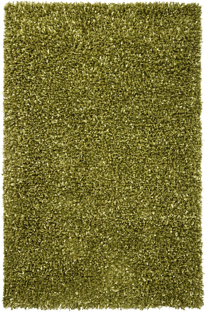 Chandra Riza Riz19503 Green Shag Area Rug