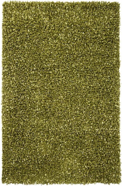Chandra Riza Riz19503 Green Shag Area Rug
