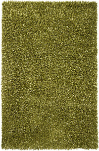 Chandra Riza Riz19503 Green Shag Area Rug