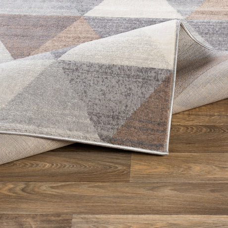 Surya Roma Rom-2303 Medium Gray, Camel, Tan, Light Gray Rugs.