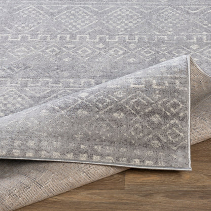 Surya Roma Rom-2340 Medium Gray, Light Gray, White Area Rug