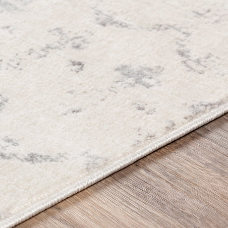 Surya Roma Rom-2343 White, Light Gray, Medium Gray Rugs.