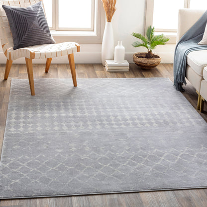 Surya Roma Rom-2344 Medium Gray, Light Gray, White Area Rug