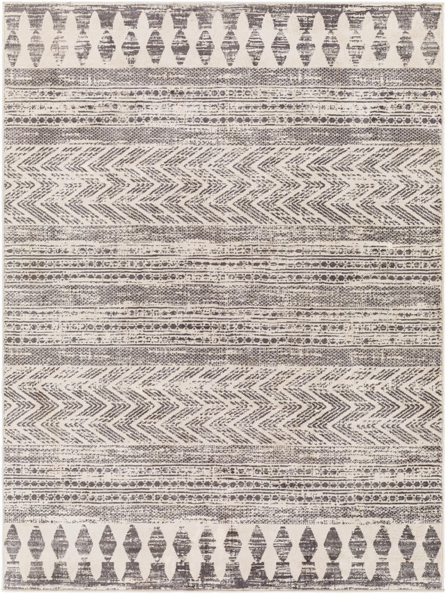 Surya Roma Rom-2396 Multi-Color Rugs.