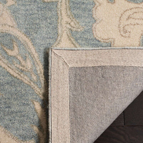 Safavieh Roslyn Ros901A Light Blue / Ivory Rugs.