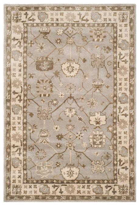 Safavieh Royalty Roy633A Silver / Cream Rugs.