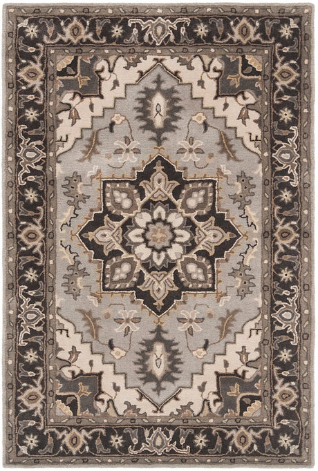 Safavieh Royalty Roy700G Silver / Charcoal Rugs.