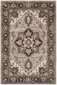 Safavieh Royalty Roy700G Silver / Charcoal Area Rug