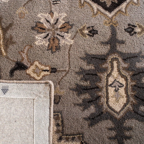 Safavieh Royalty Roy700G Silver / Charcoal Rugs.