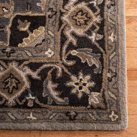 Safavieh Royalty Roy700G Silver / Charcoal Rugs.