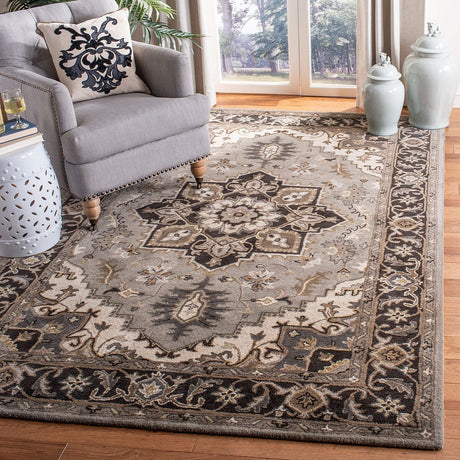 Safavieh Royalty Roy700G Silver / Charcoal Rugs.