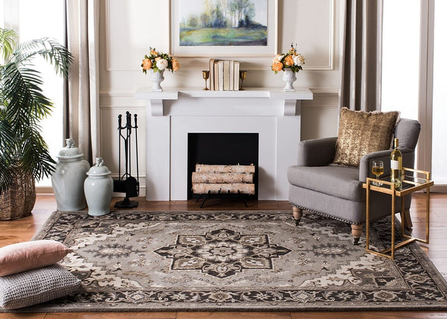 Safavieh Royalty Roy700G Silver / Charcoal Area Rug