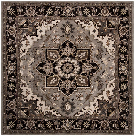 Safavieh Royalty Roy700G Silver / Charcoal Rugs.