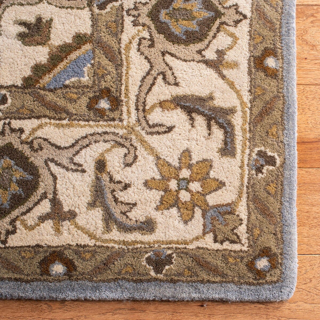 Safavieh Royalty Roy700M Light Blue / Beige Rugs.