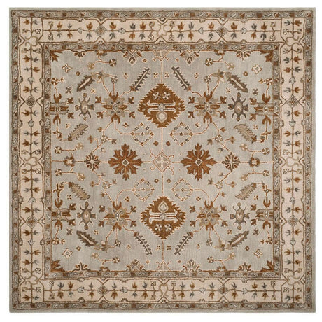 Safavieh Royalty Roy870B Light Grey / Cream Rugs.