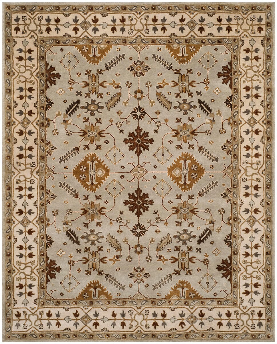 Safavieh Royalty Roy870B Light Grey / Cream Area Rug