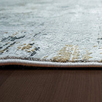 Dynamic Ruby 2161 Grey Vintage / Distressed Area Rug