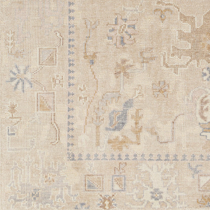 Surya Revere Rve-2309 Brown Area Rug