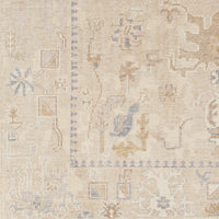 Surya Revere Rve-2309 Brown Area Rug