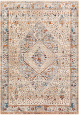 Surya Arya Rya-2305 Medium Gray, Blue Rug.