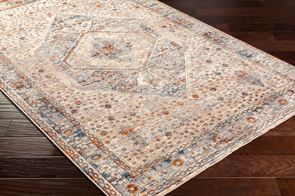 Surya Arya Rya-2305 Medium Gray, Blue Rug.